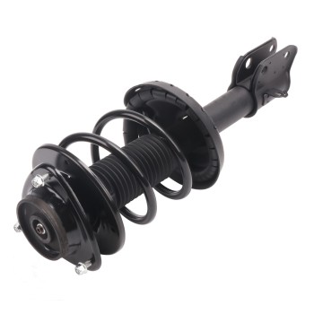 Suspension Strut and Coil Spring Assembly