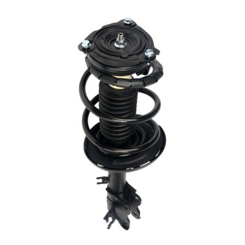 Suspension Strut and Coil Spring Assembly