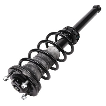 Suspension Strut and Coil Spring Assembly