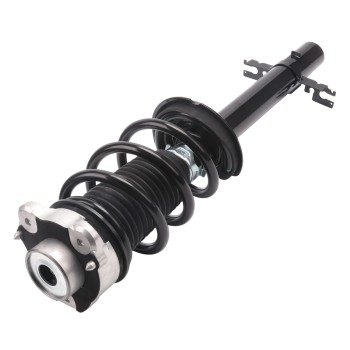 Suspension Strut and Coil Spring Assembly