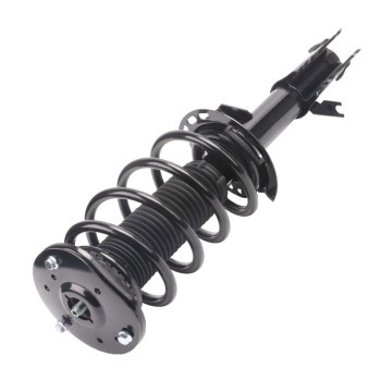 Suspension Strut and Coil Spring Assembly
