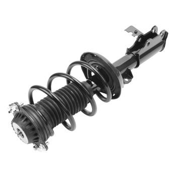Suspension Strut and Coil Spring Assembly