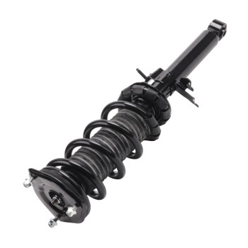 Suspension Strut and Coil Spring Assembly