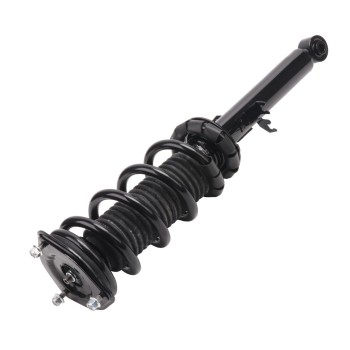 Suspension Strut and Coil Spring Assembly