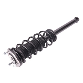 Suspension Strut and Coil Spring Assembly