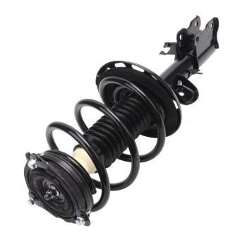 Suspension Strut and Coil Spring Assembly