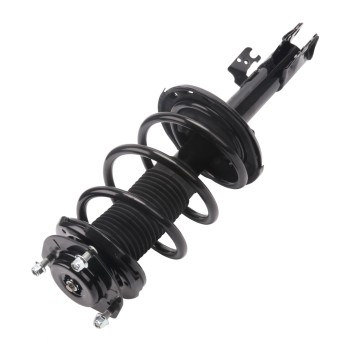 Suspension Strut and Coil Spring Assembly