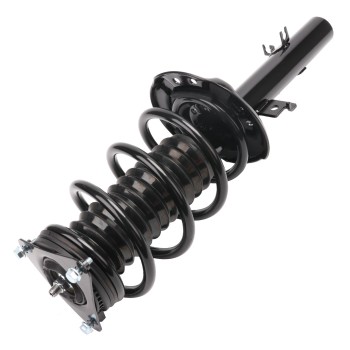 Suspension Strut and Coil Spring Assembly
