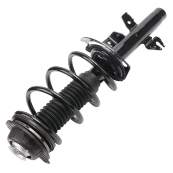 Suspension Strut and Coil Spring Assembly