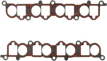 Dana Victor Reinz 11-10463-01