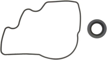 Engine Oil Pump Gasket