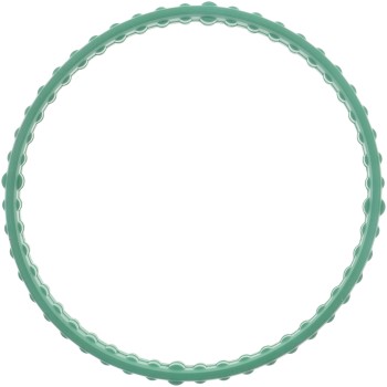 Fuel Injection Plenum Gasket Set