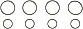 Fuel Injector O-Ring Kit
