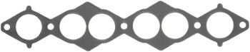 Fuel Injection Plenum Gasket