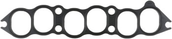 Fuel Injection Plenum Gasket