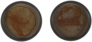 Engine Camshaft Plug