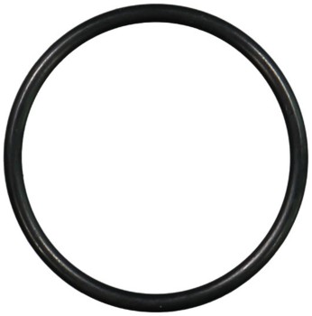 Engine Coolant Outlet Gasket