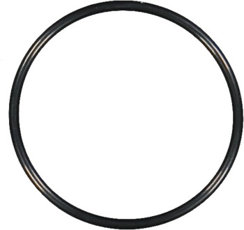 Engine Water Pump Housing O-Ring