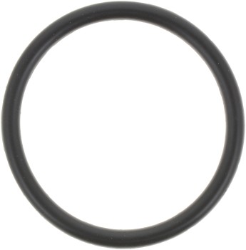 Distributor O-Ring