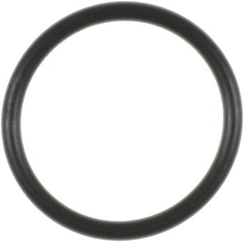 Engine Coolant Outlet O-Ring