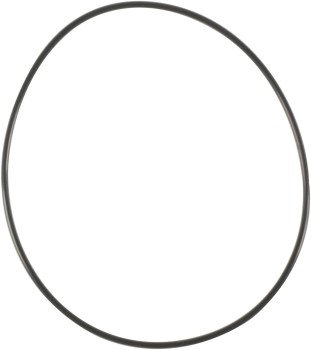 Engine Water Pump O-Ring