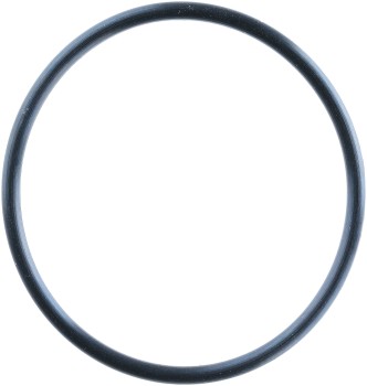 Dana Victor Reinz 41-10448-00