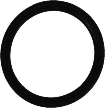 Engine Coolant Pipe O-Ring