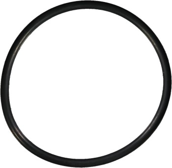 Engine Coolant Thermostat Housing Seal