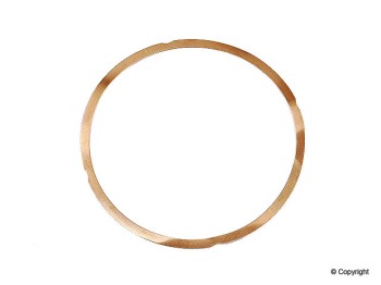 Dana Victor Reinz 70-16196-30