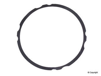 Dana Victor Reinz 70-24379-00