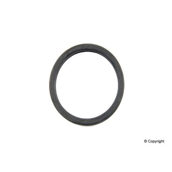 Dana Victor Reinz 70-31308-00