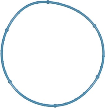 Fuel Injection Throttle Body Mounting Gasket