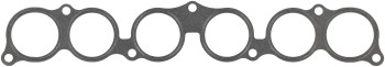 Fuel Injection Plenum Gasket