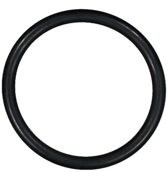 Engine Coolant Thermostat Gasket