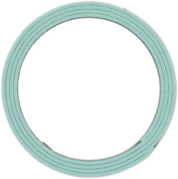 Catalytic Converter Gasket