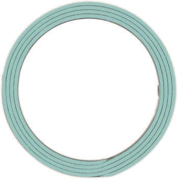 Catalytic Converter Gasket