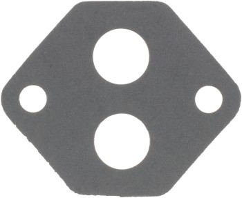 Fuel Injection Idle Air Control Valve Gasket