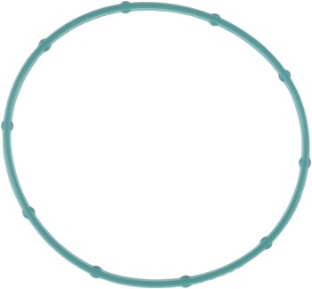 Fuel Injection Throttle Body Mounting Gasket