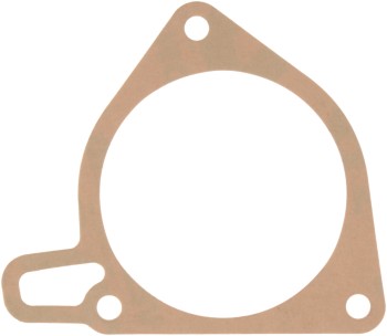 Fuel Injection Throttle Body Mounting Gasket