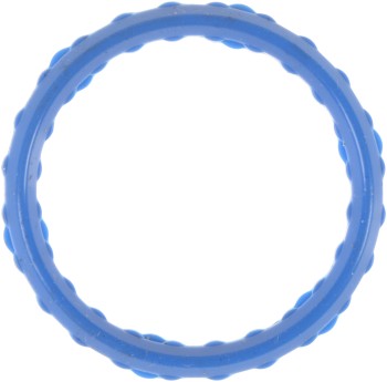 Exhaust Gas Recirculation (EGR) Valve Gasket