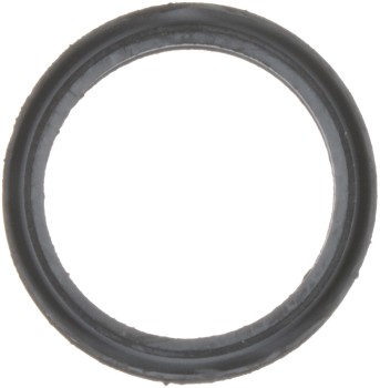 Exhaust Gas Recirculation (EGR) Valve Gasket