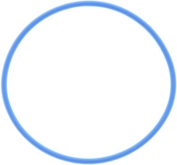 Engine Camshaft Position Sensor O-Ring