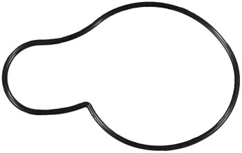 Engine Water Pump Gasket