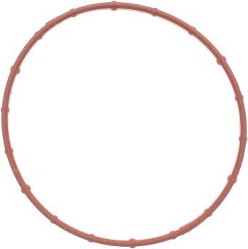 Fuel Injection Throttle Body Mounting Gasket