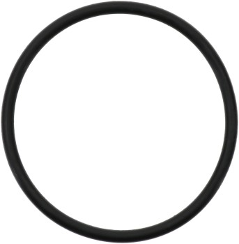 Engine Coolant Thermostat Housing Seal