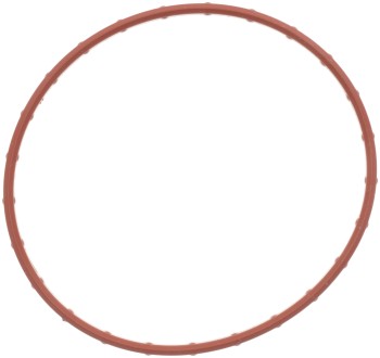 Fuel Injection Throttle Body Mounting Gasket