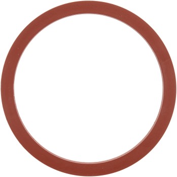 Engine Oil Cooler Gasket