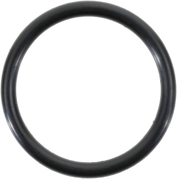 Engine Coolant Outlet O-Ring
