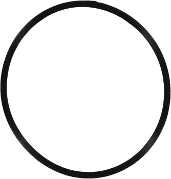 Engine Coolant Thermostat Housing Seal