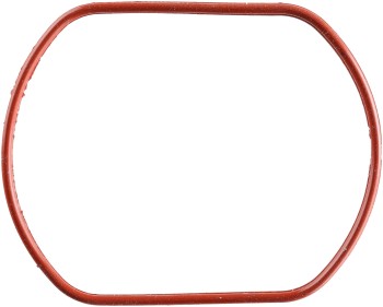 Fuel Injection Throttle Body Mounting Gasket